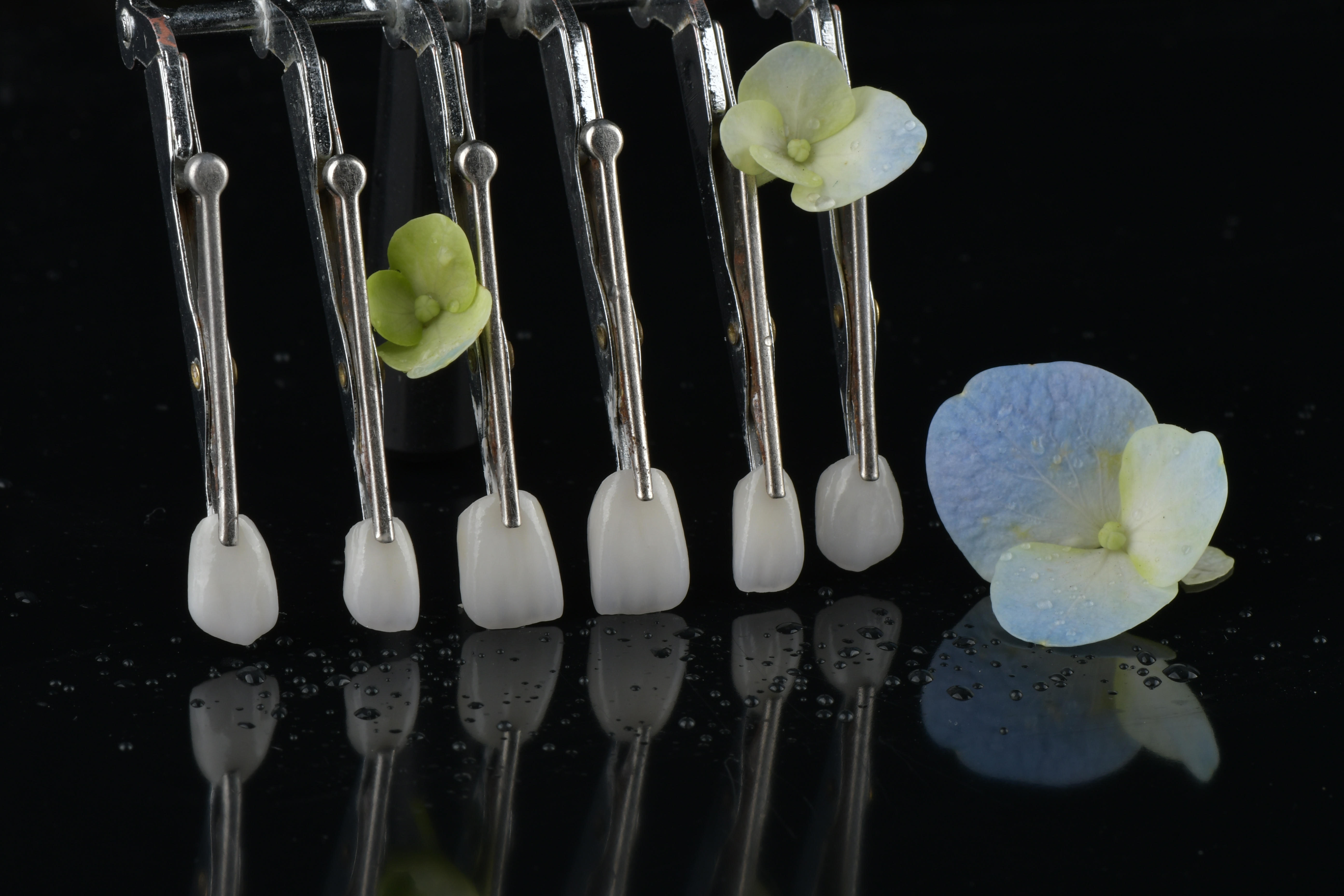 Blog công ty mới nhất về Phục hồi cố định có cần hẹn hẹn theo dõi không?